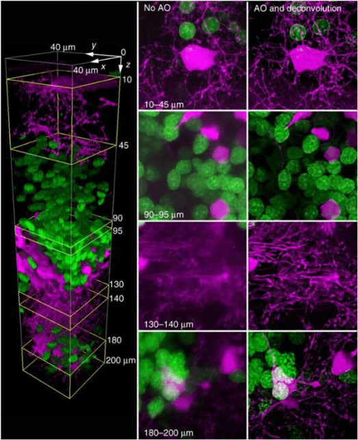 ALPAO - Adaptive Optic System - Wavefront sensors  - Astronomy equipment - Advanced imaging systems - Improve communication system - Laser beam shaping - Adaptive optics microelectronic - Microscopy quality - Ophtalmic instrument - Adaptive optics components - Adaptive optics news - Adaptive optic - Adaptive optics software - Adaptive optic system - Deformable mirrors