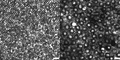 ALPAO - Adaptive Optic System - Wavefront sensors  - Astronomy equipment - Advanced imaging systems - Improve communication system - Laser beam shaping - Adaptive optics microelectronic - Microscopy quality - Ophtalmic instrument - Adaptive optics components - Adaptive optics news - Adaptive optic - Adaptive optics software - Adaptive optic system - Deformable mirrors