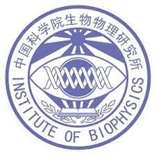 chinese institute biophysics