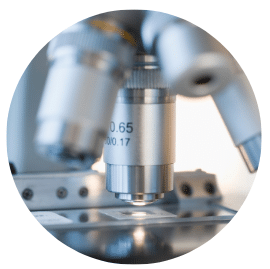 Page application miscroscopy e1769161333144